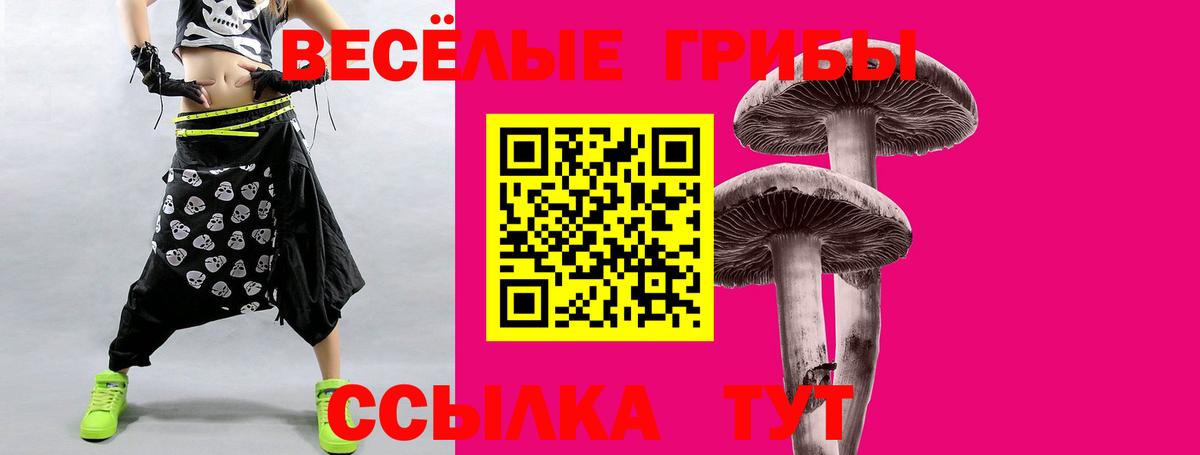 Псилоцибиновые грибы мухоморы Славянск-на-Кубани